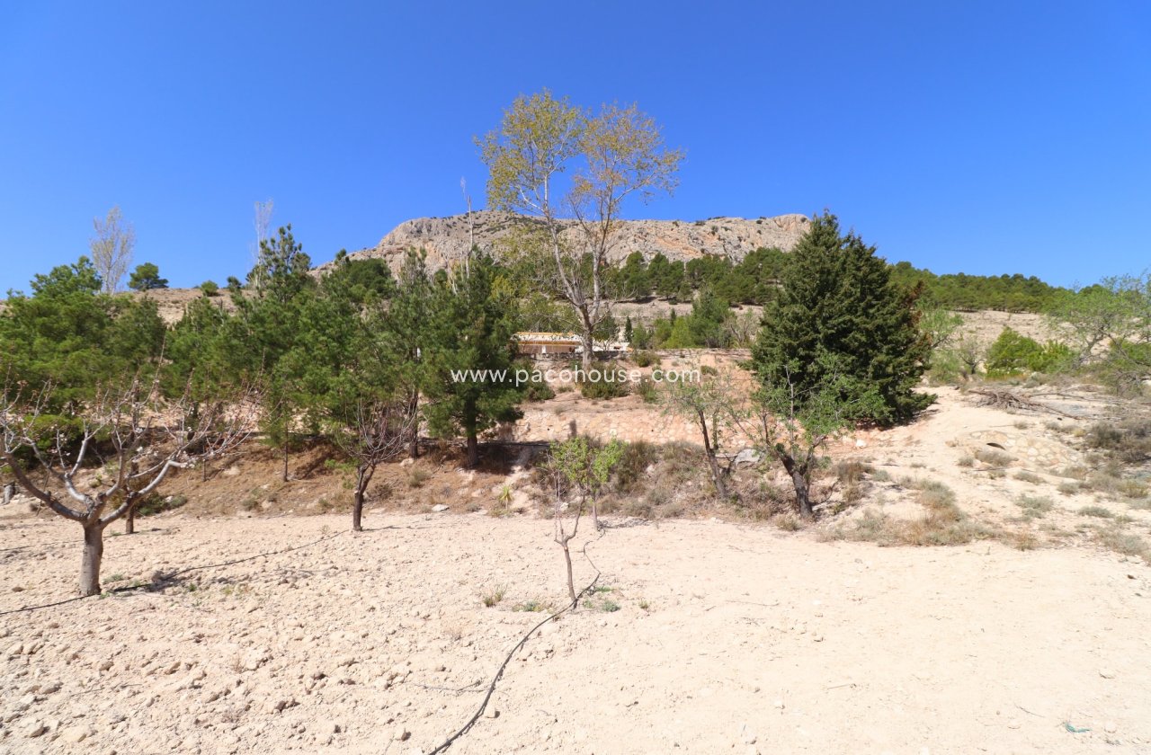 Resale - Cortijo -
Velez-Blanco