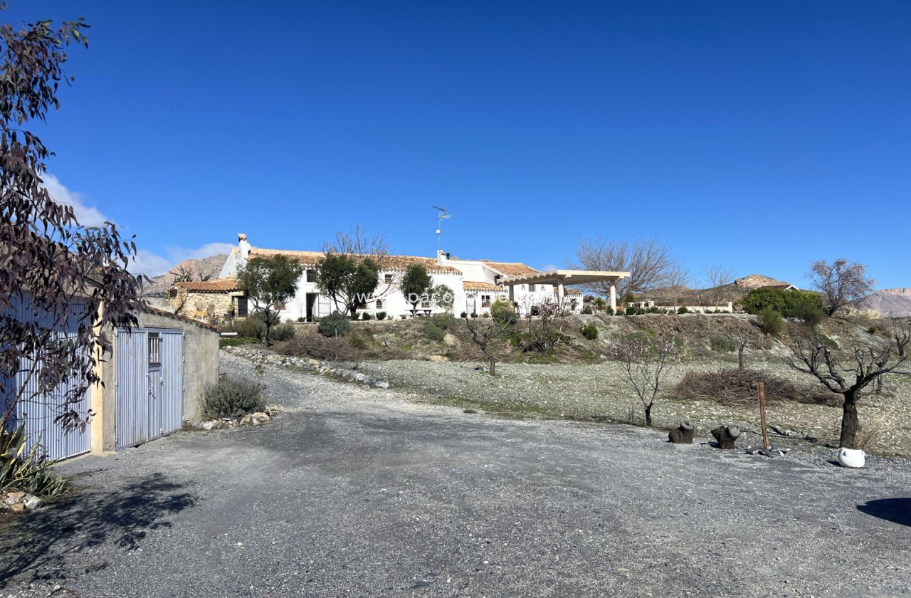 Resale - Cortijo -
Velez-Rubio