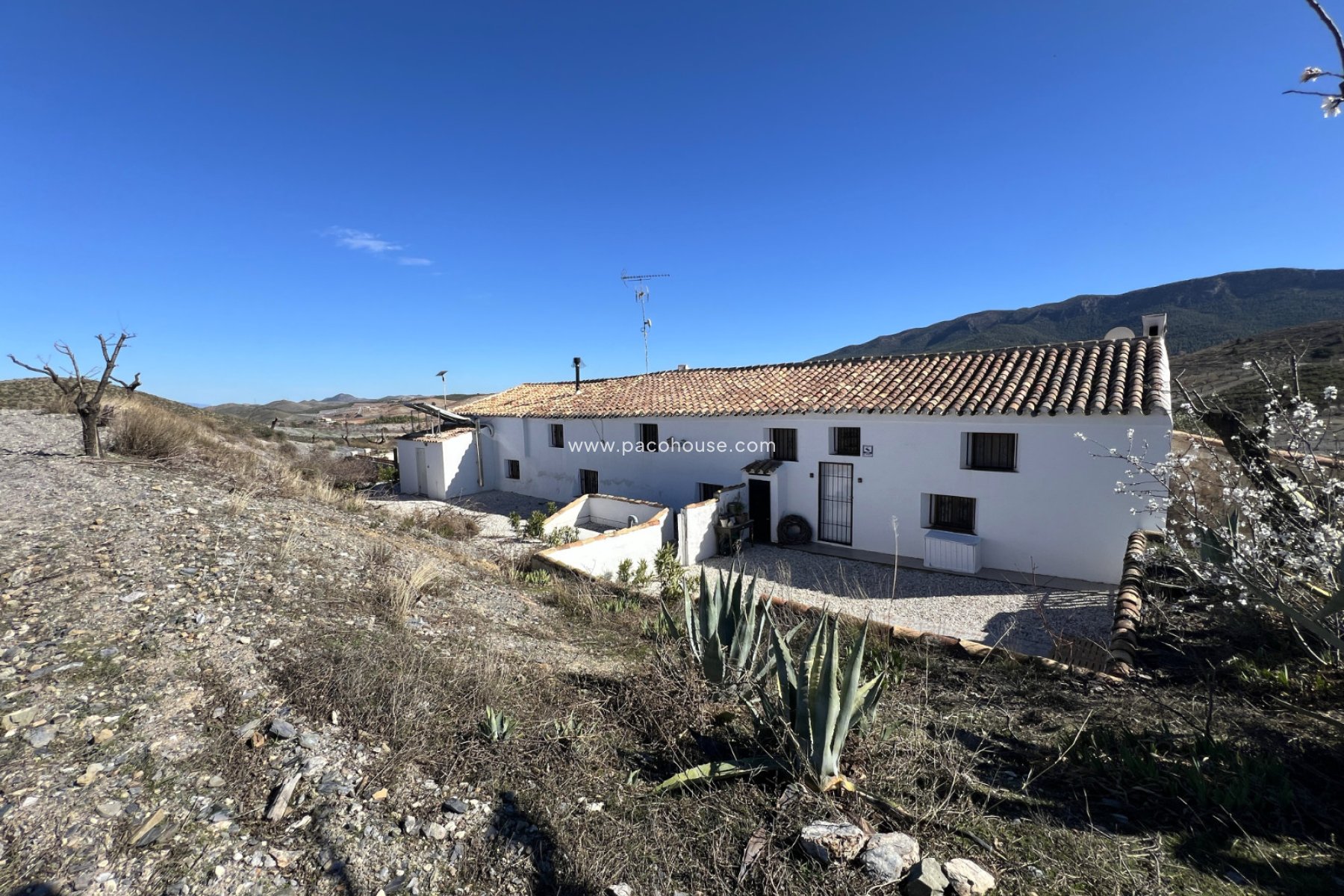 Resale - Cortijo -
Velez-Rubio