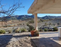 Resale - Cortijo -
Velez-Rubio