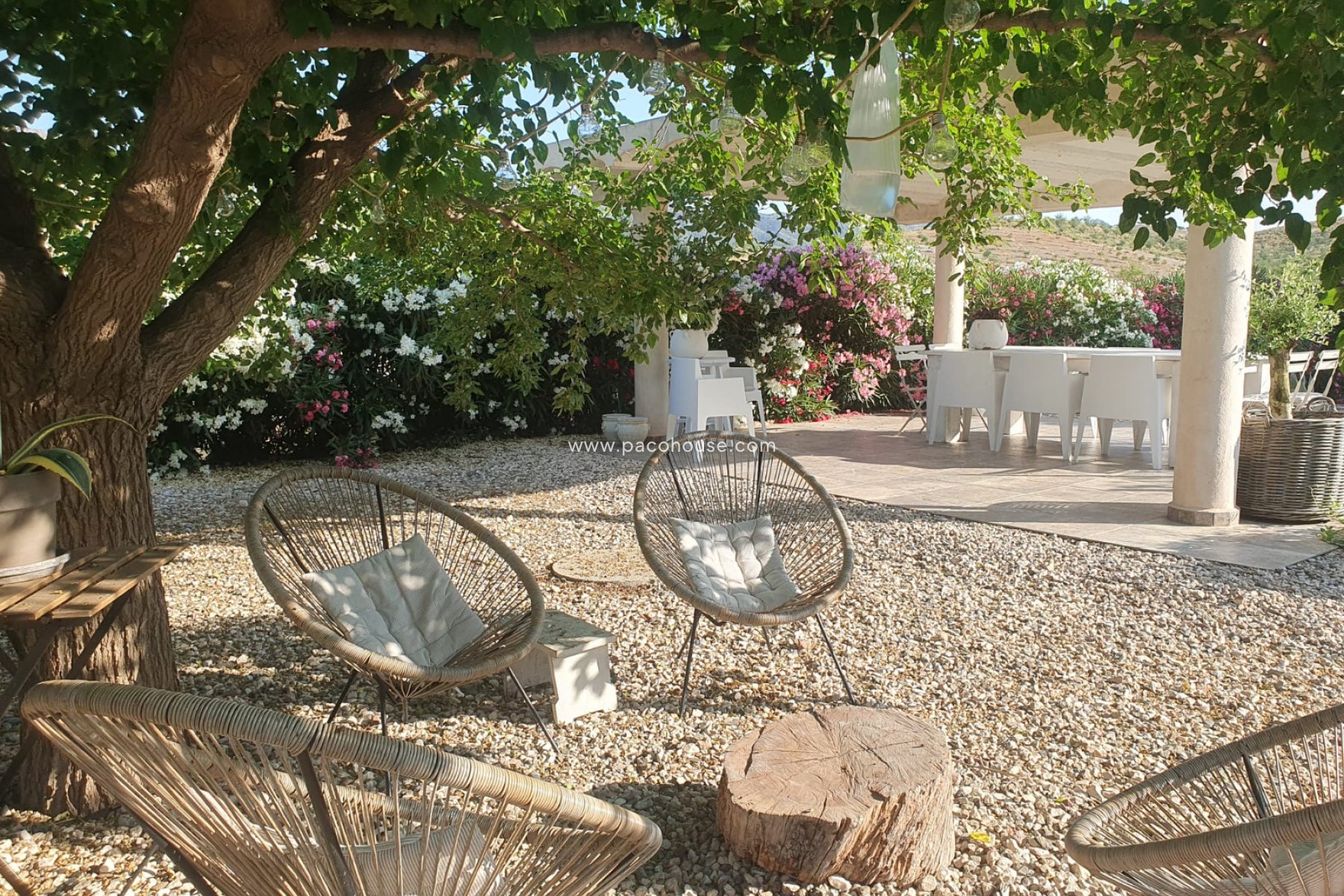 Resale - Cortijo -
Velez-Rubio