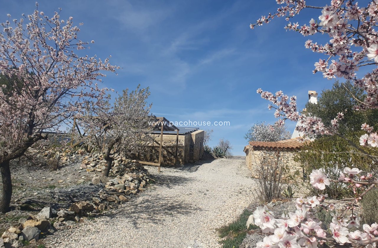 Resale - Cortijo -
Velez-Rubio