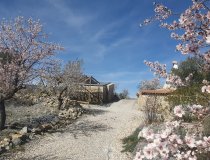 Resale - Cortijo -
Velez-Rubio