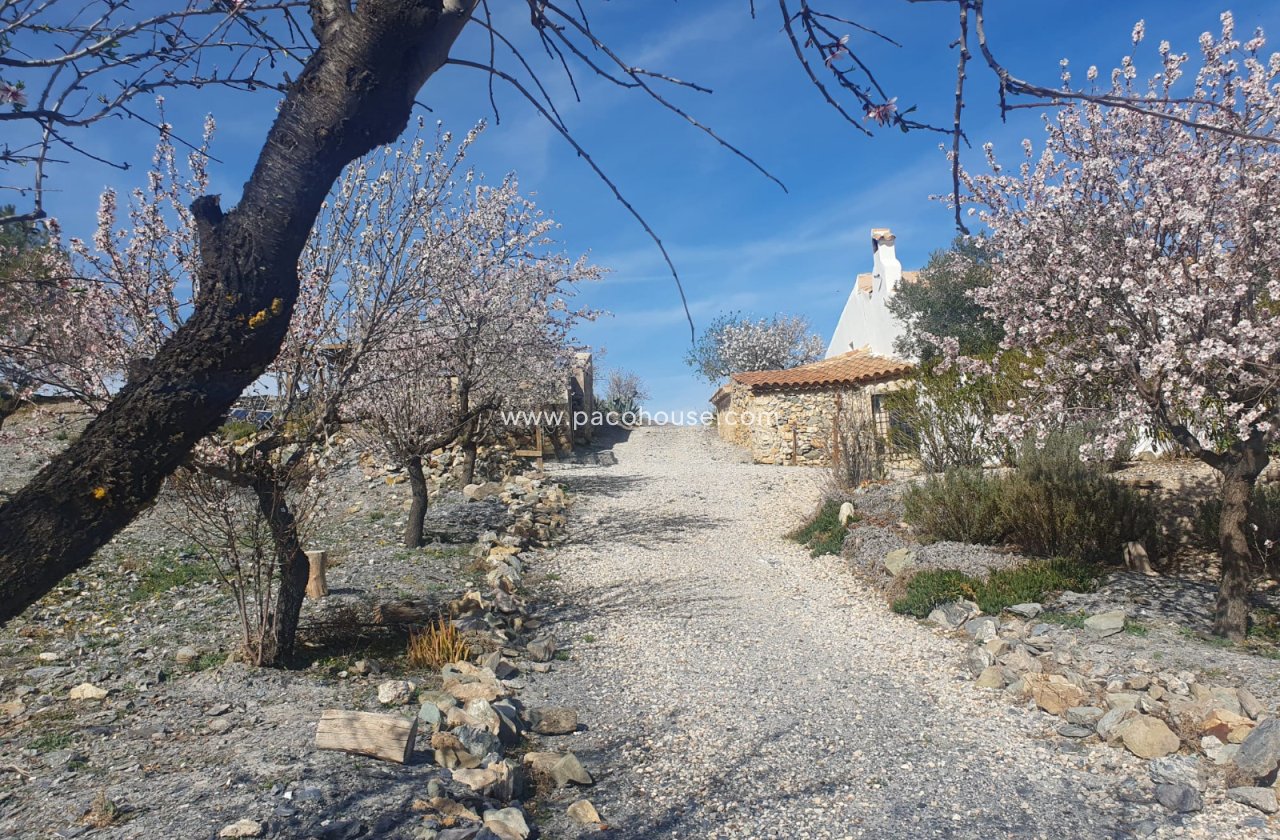 Resale - Cortijo -
Velez-Rubio