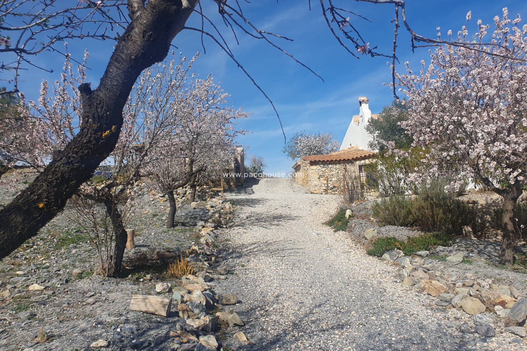 Resale - Cortijo -
Velez-Rubio