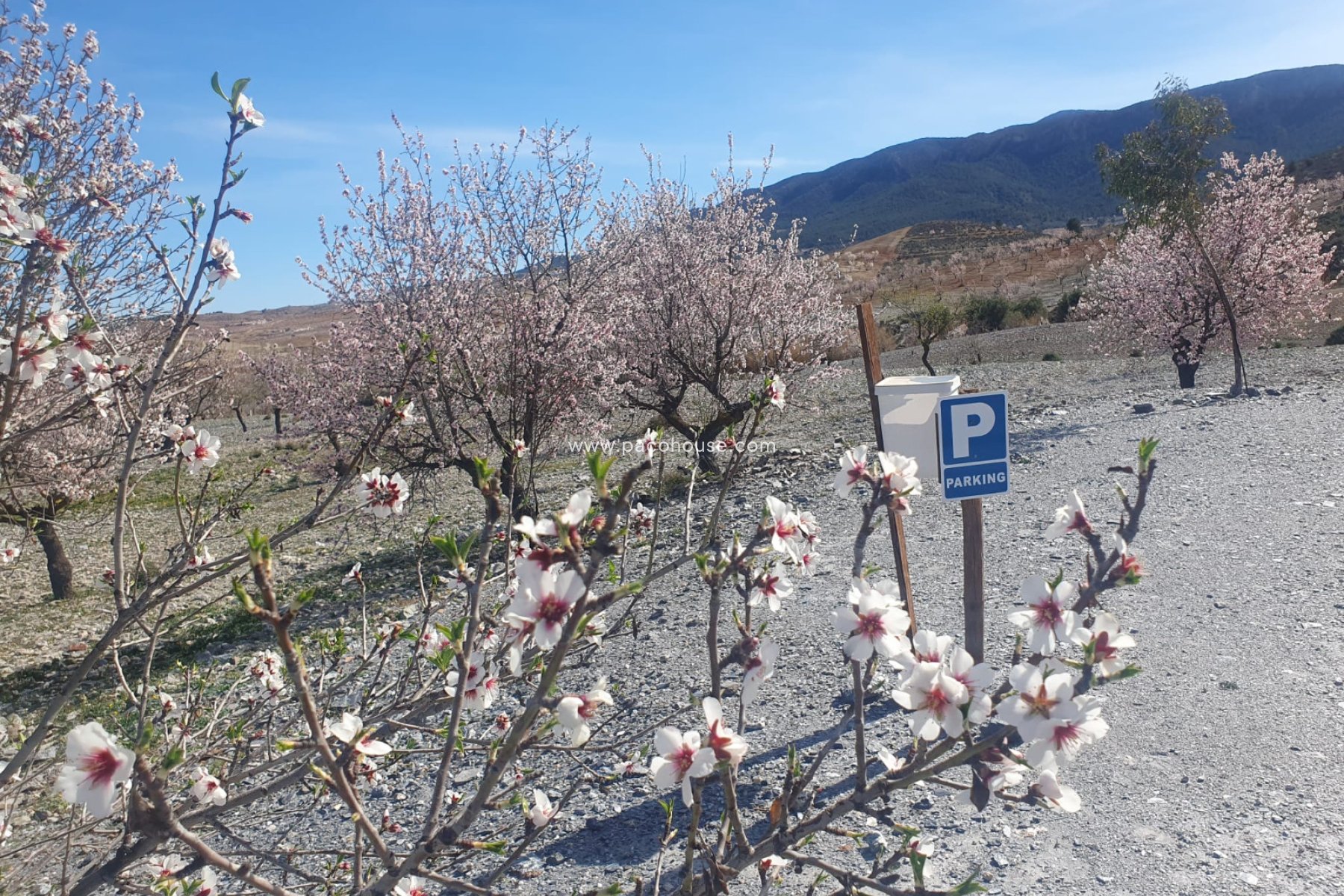 Resale - Cortijo -
Velez-Rubio