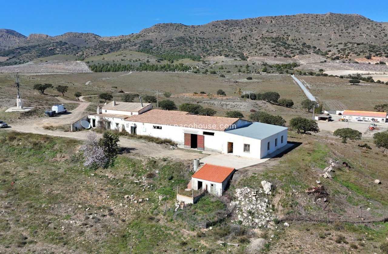Resale - Cortijo -
Velez-Rubio