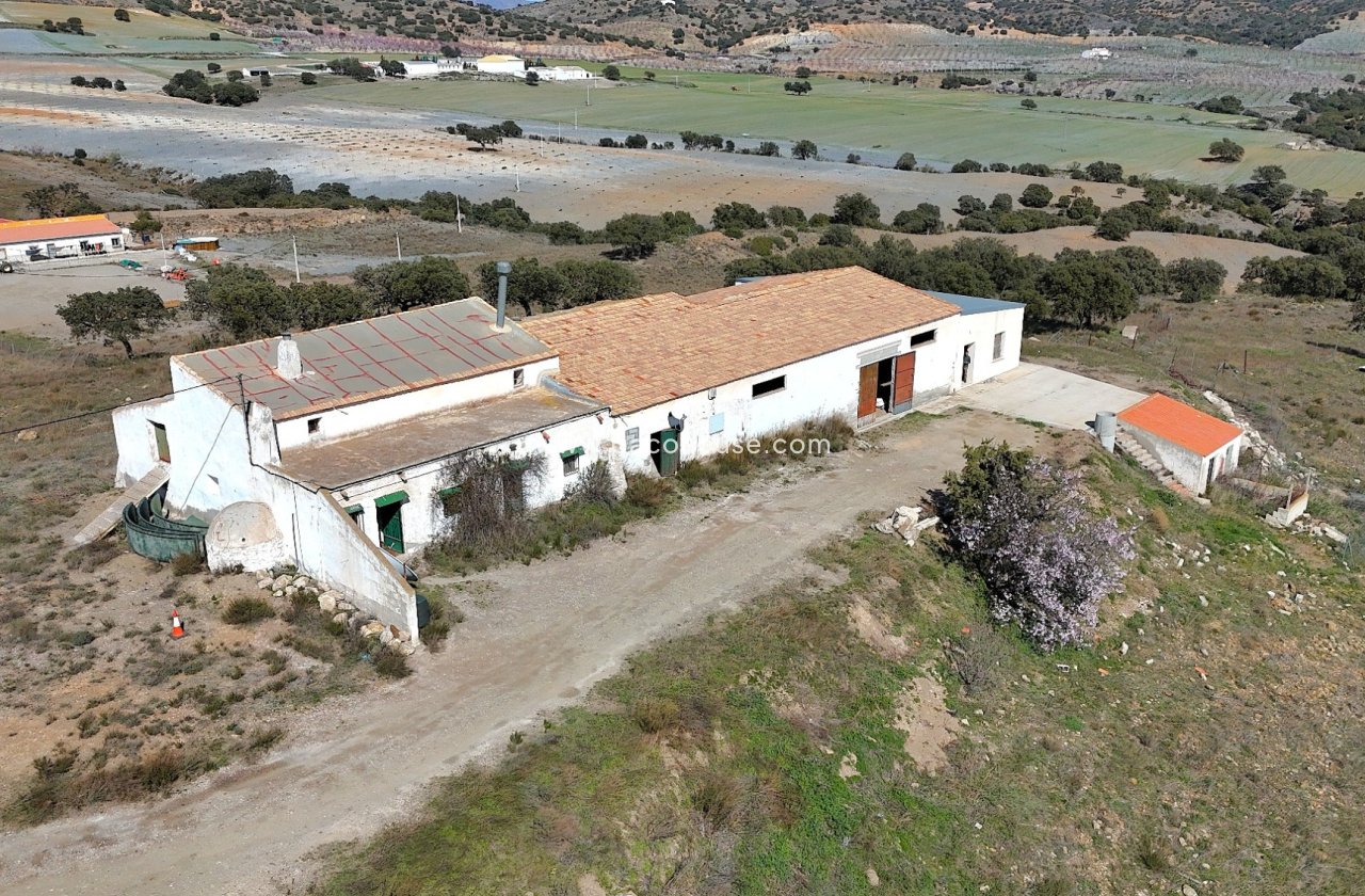 Resale - Cortijo -
Velez-Rubio