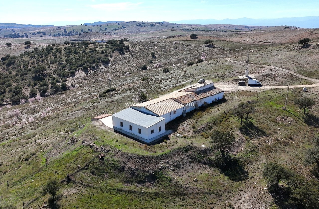 Resale - Cortijo -
Velez-Rubio