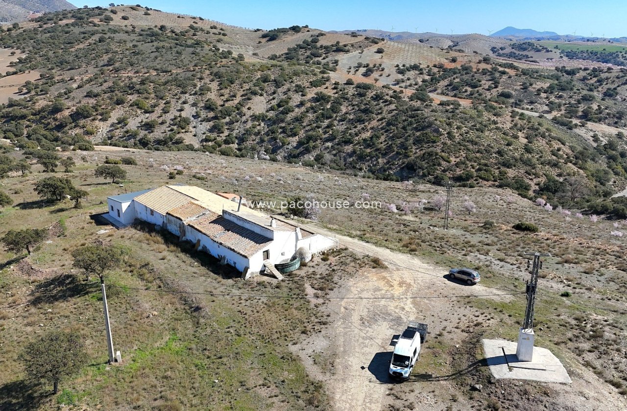 Resale - Cortijo -
Velez-Rubio