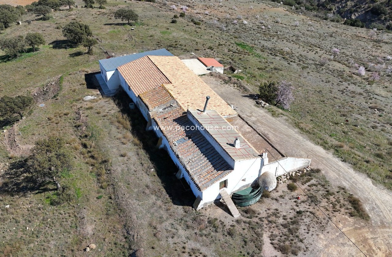 Resale - Cortijo -
Velez-Rubio