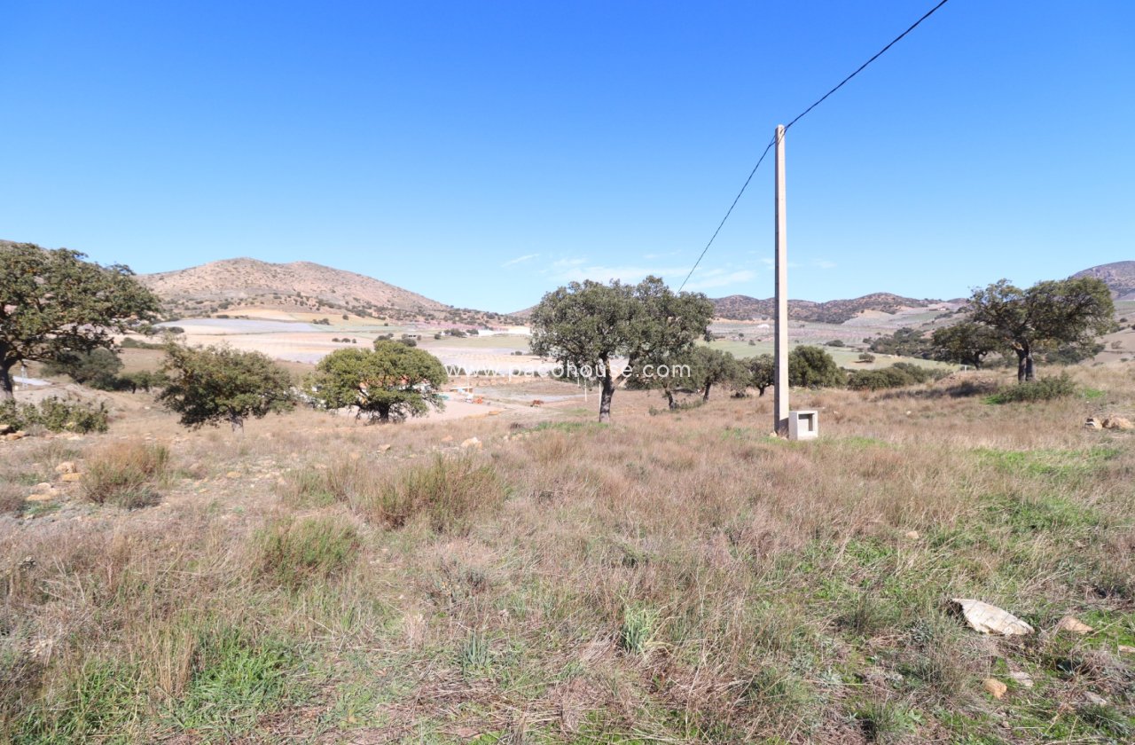 Resale - Cortijo -
Velez-Rubio