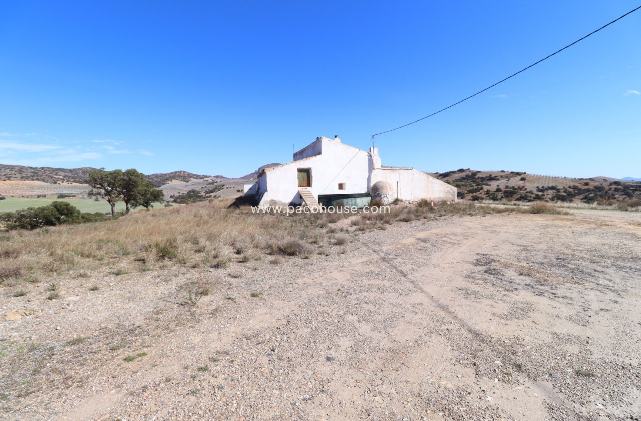 Resale - Cortijo -
Velez-Rubio