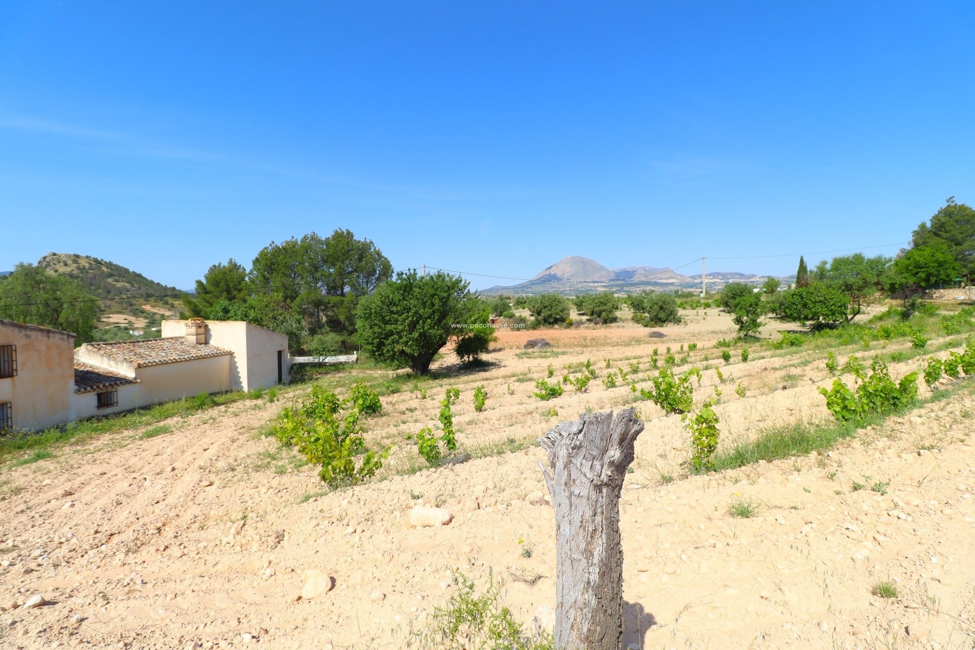 Resale - Cortijo -
Velez-Rubio