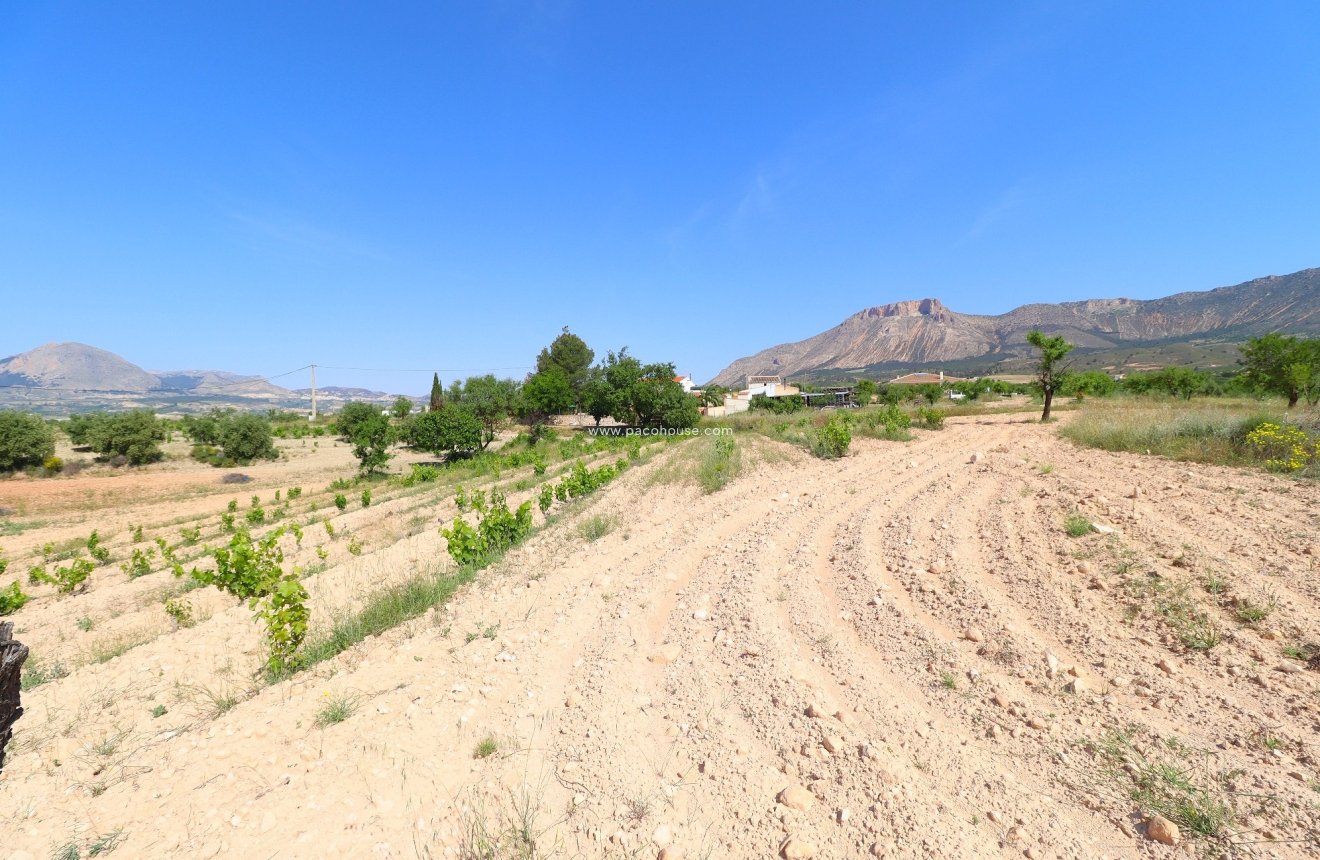 Resale - Cortijo -
Velez-Rubio