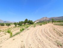 Resale - Cortijo -
Velez-Rubio