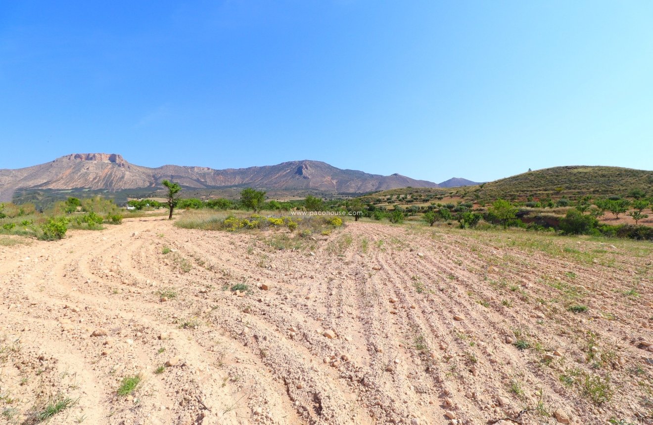 Resale - Cortijo -
Velez-Rubio