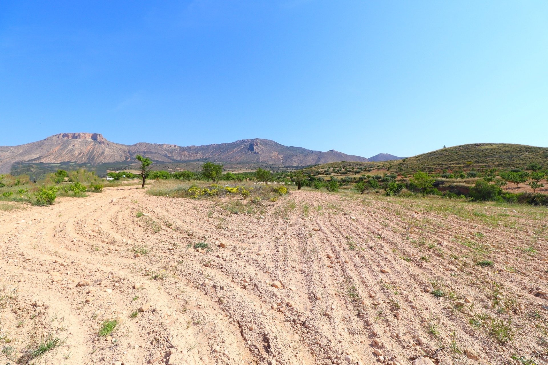 Resale - Cortijo -
Velez-Rubio