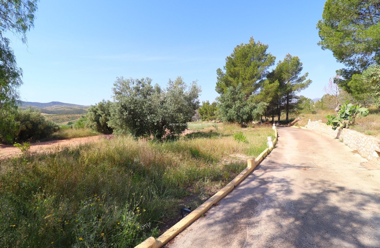 Resale - Cortijo -
Velez-Rubio