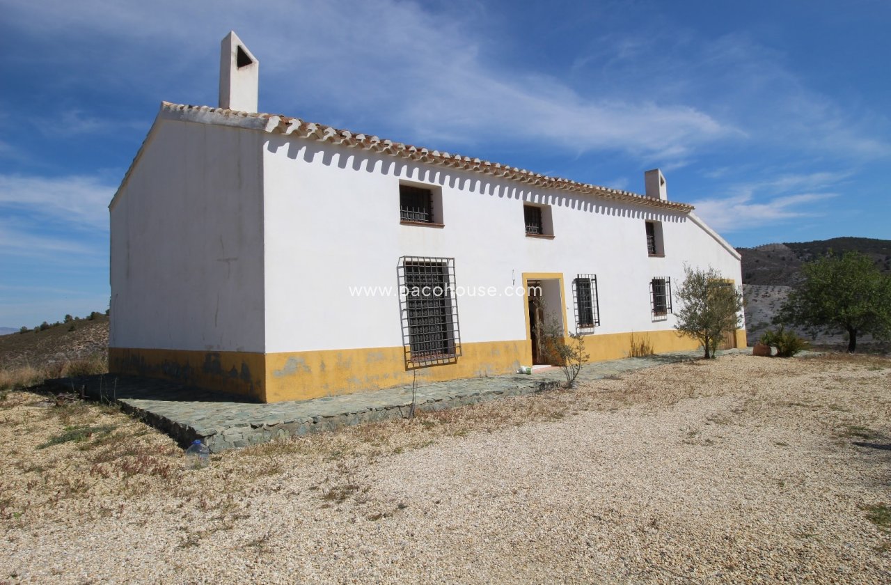 Resale - Cortijo -
Zarzalico