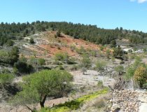 Resale - Cortijo -
Zarzalico