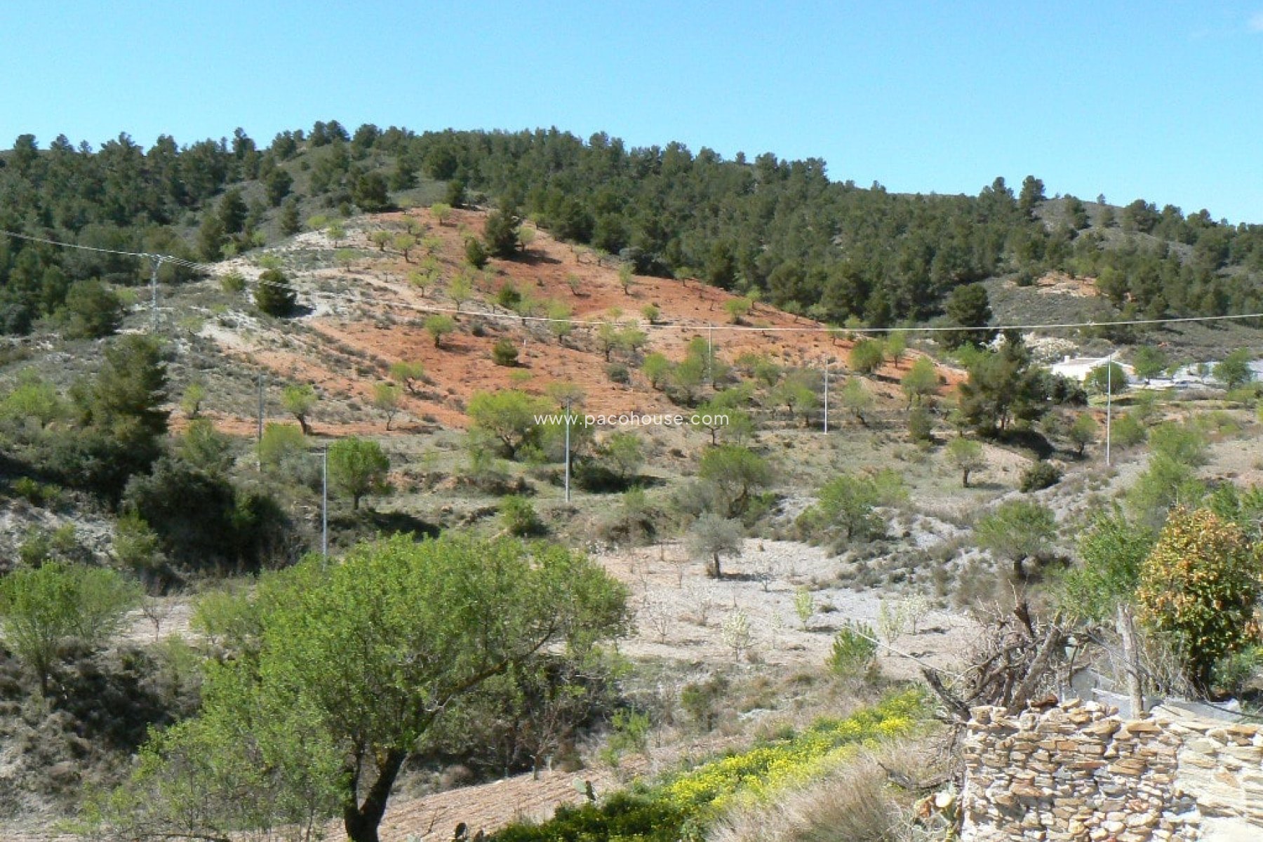Resale - Cortijo -
Zarzalico