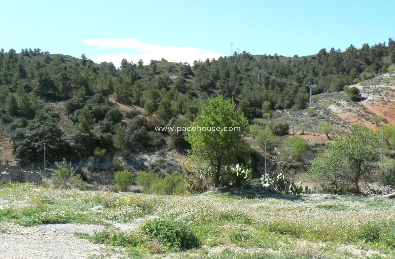 Resale - Cortijo -
Zarzalico