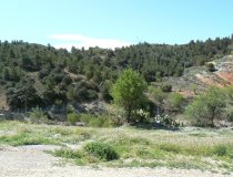 Resale - Cortijo -
Zarzalico