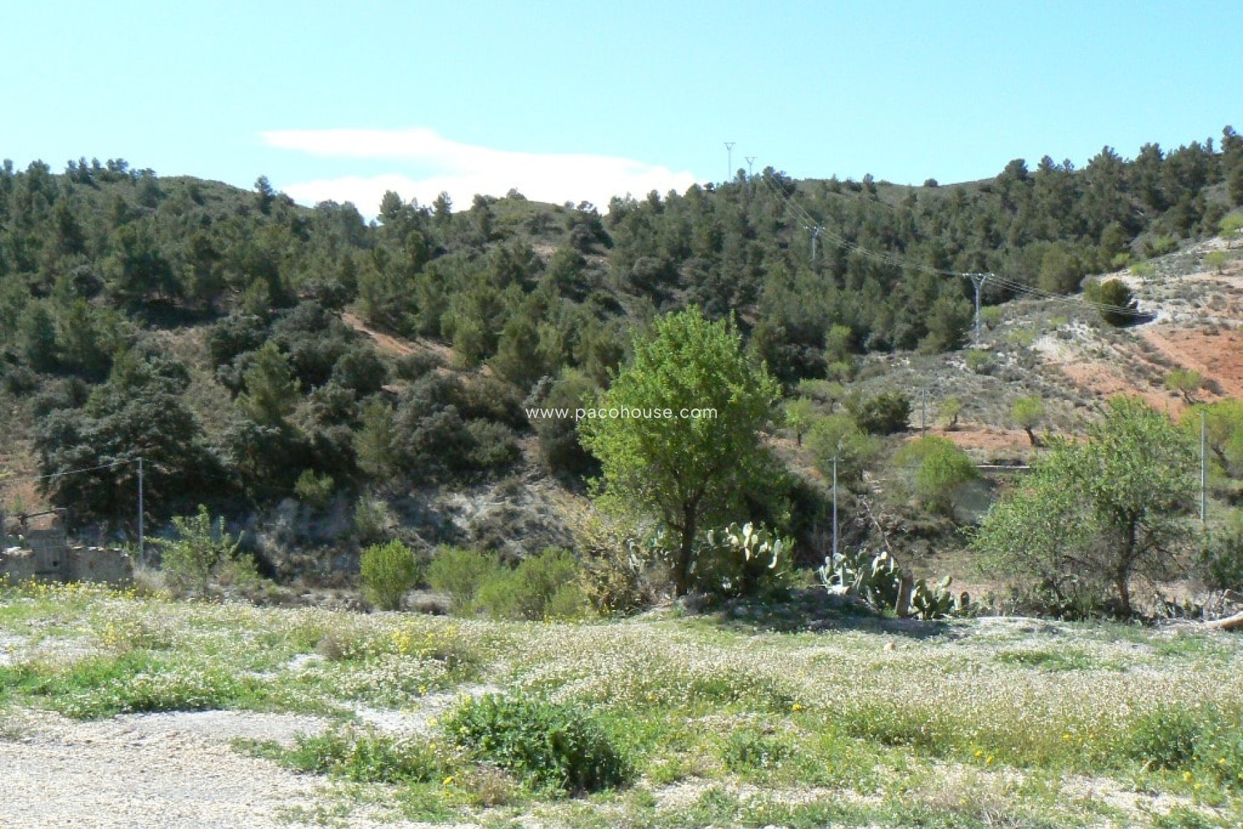 Resale - Cortijo -
Zarzalico