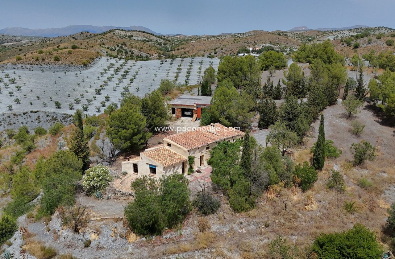 Resale - Cortijo -
Zarzalico