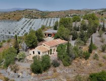 Resale - Cortijo -
Zarzalico