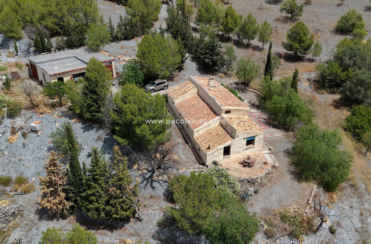 Resale - Cortijo -
Zarzalico