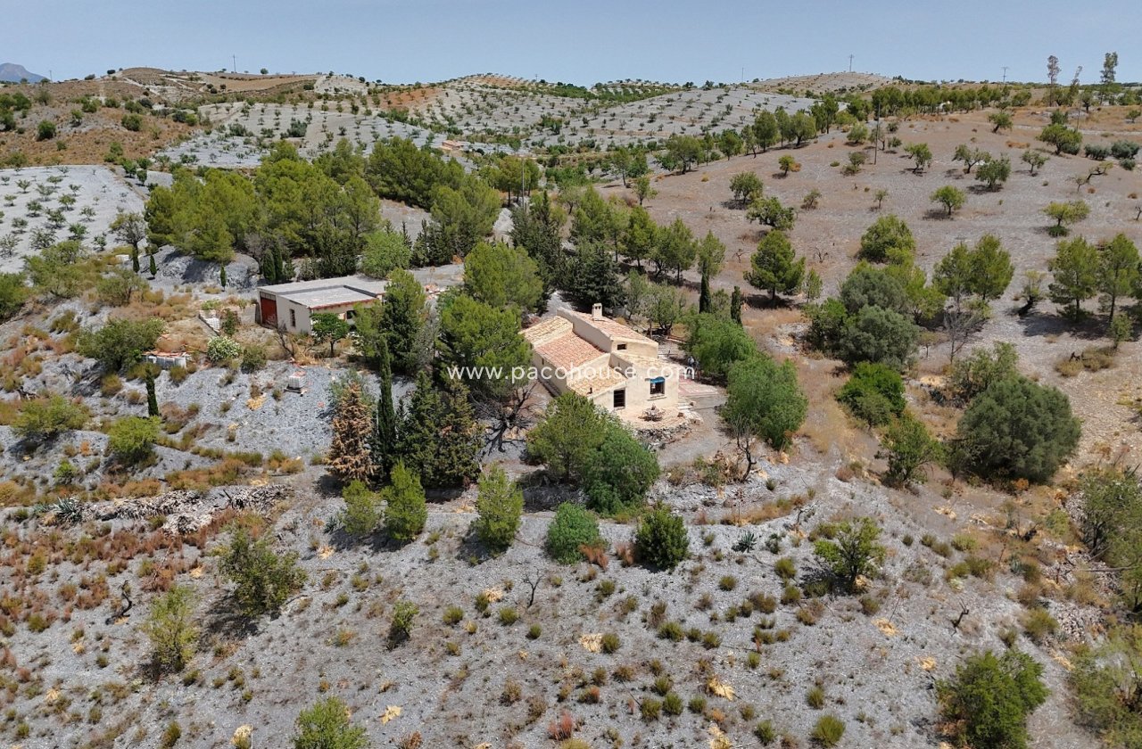 Resale - Cortijo -
Zarzalico
