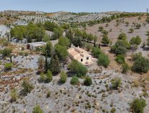 Resale - Cortijo -
Zarzalico
