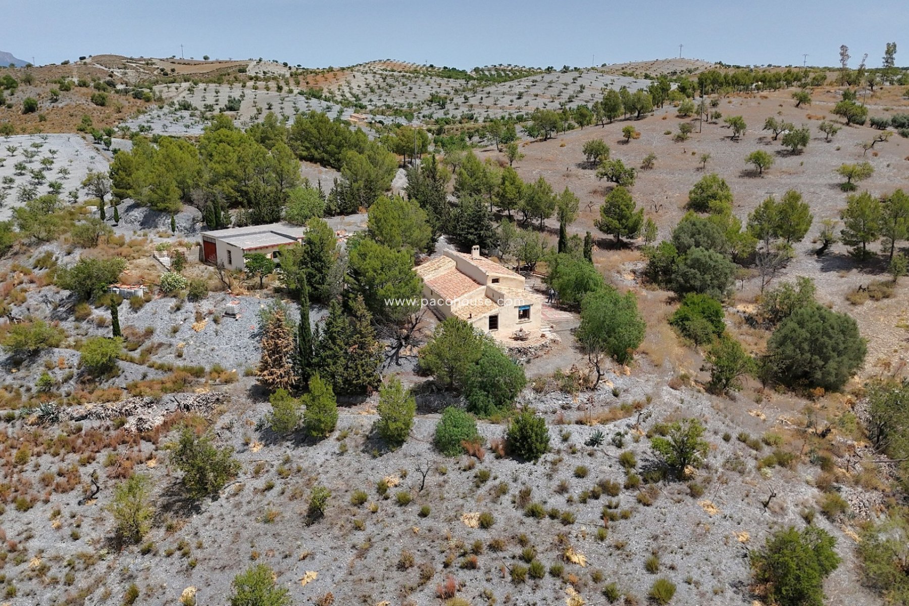 Resale - Cortijo -
Zarzalico