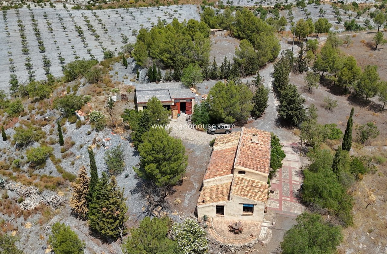 Resale - Cortijo -
Zarzalico