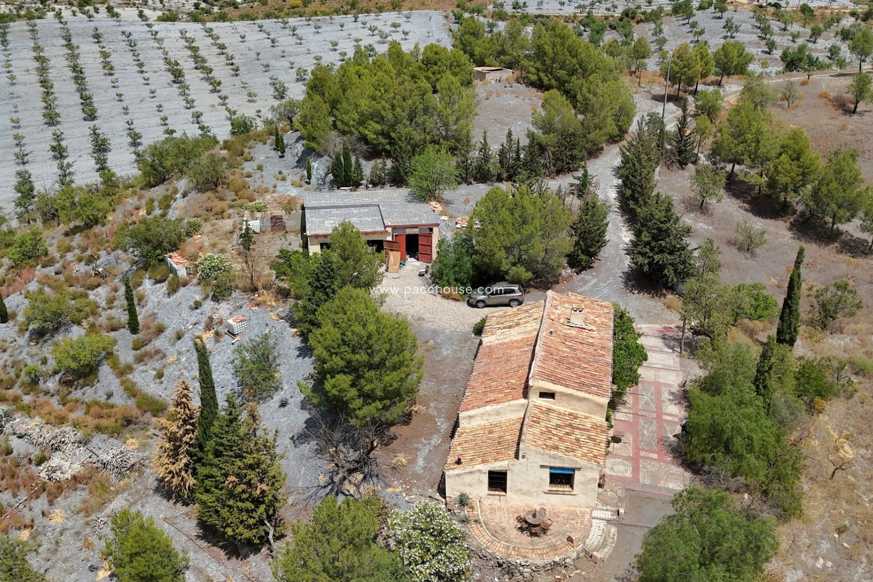 Resale - Cortijo -
Zarzalico