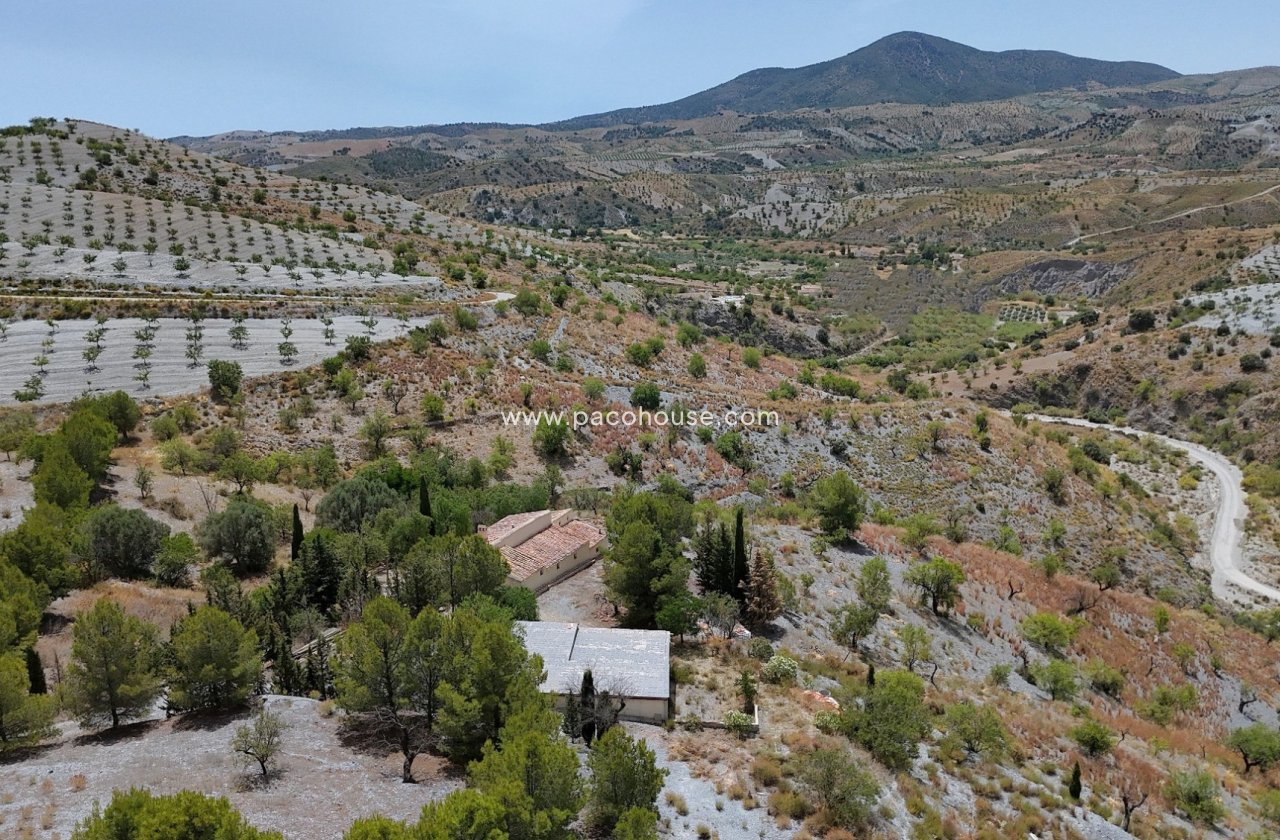 Resale - Cortijo -
Zarzalico