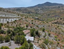 Resale - Cortijo -
Zarzalico