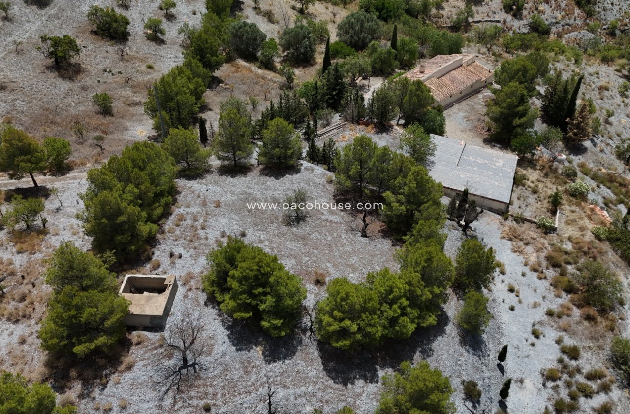 Resale - Cortijo -
Zarzalico