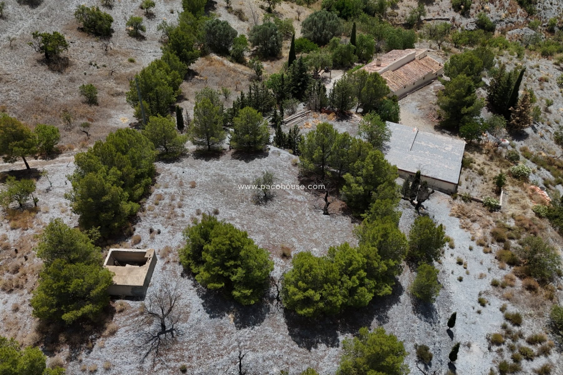 Resale - Cortijo -
Zarzalico