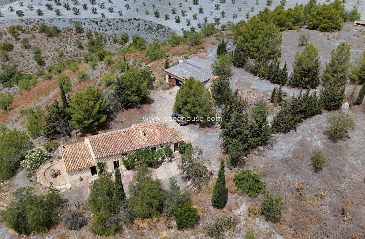 Resale - Cortijo -
Zarzalico