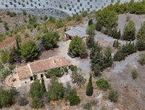 Resale - Cortijo -
Zarzalico