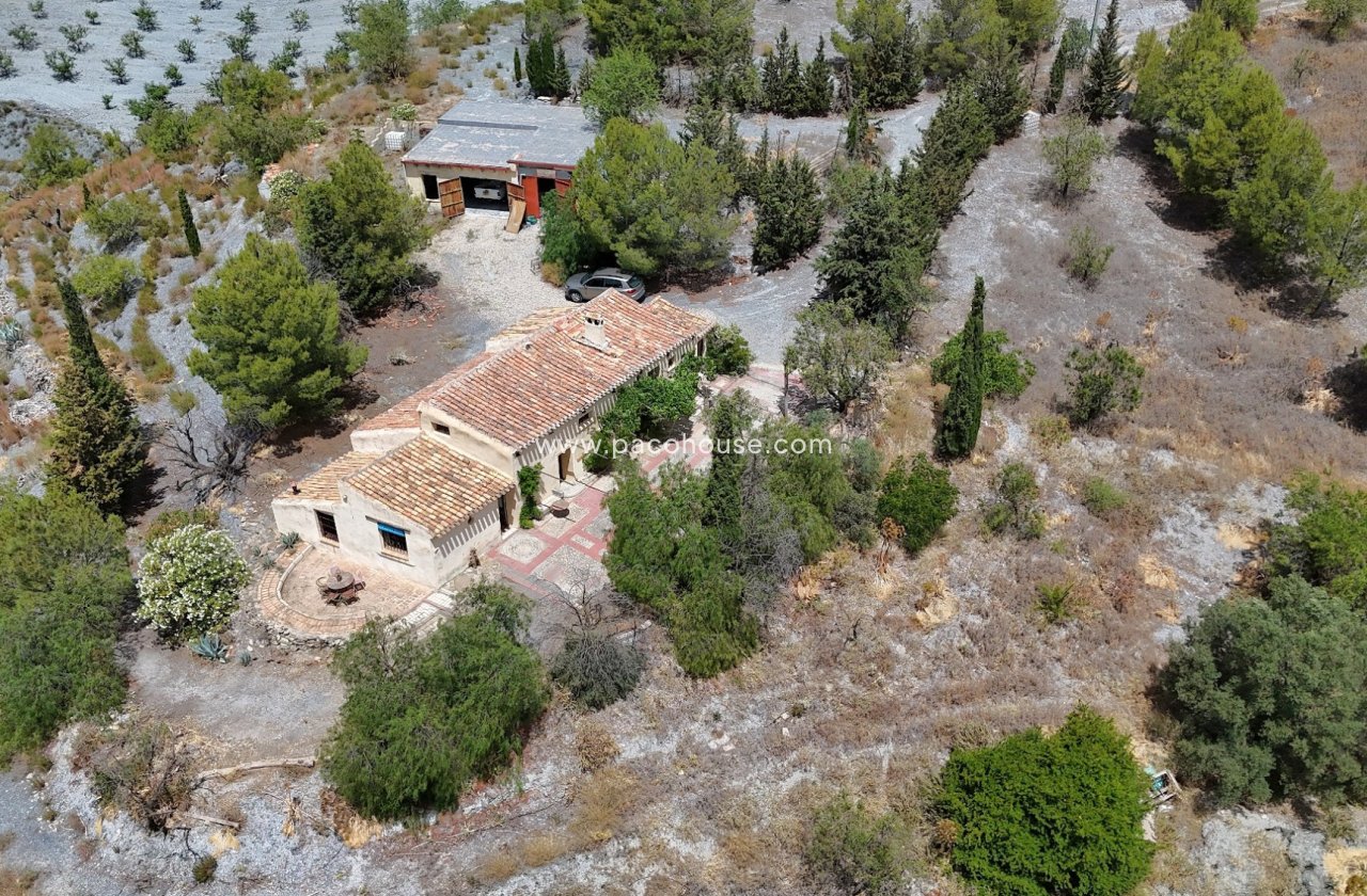 Resale - Cortijo -
Zarzalico