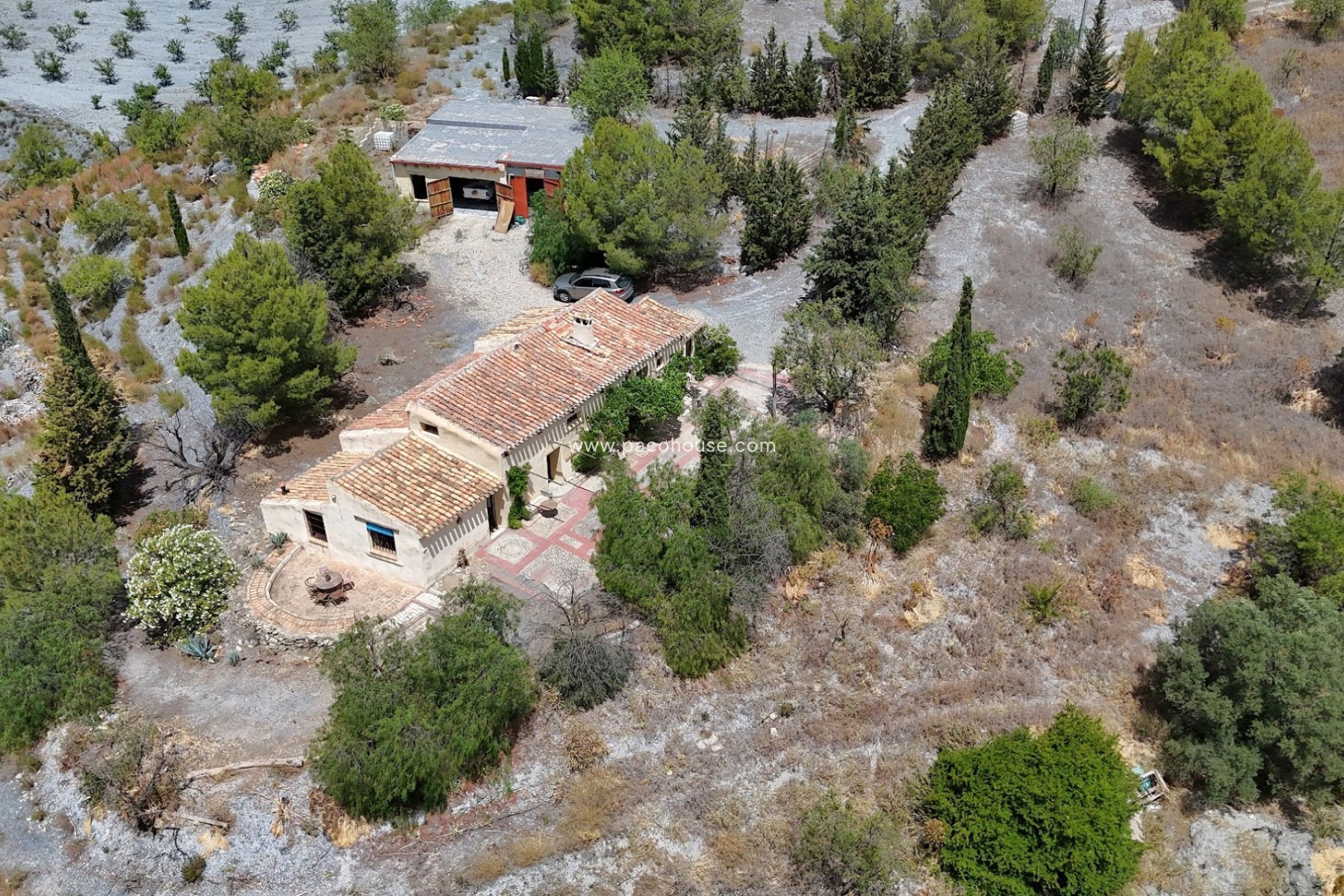 Resale - Cortijo -
Zarzalico