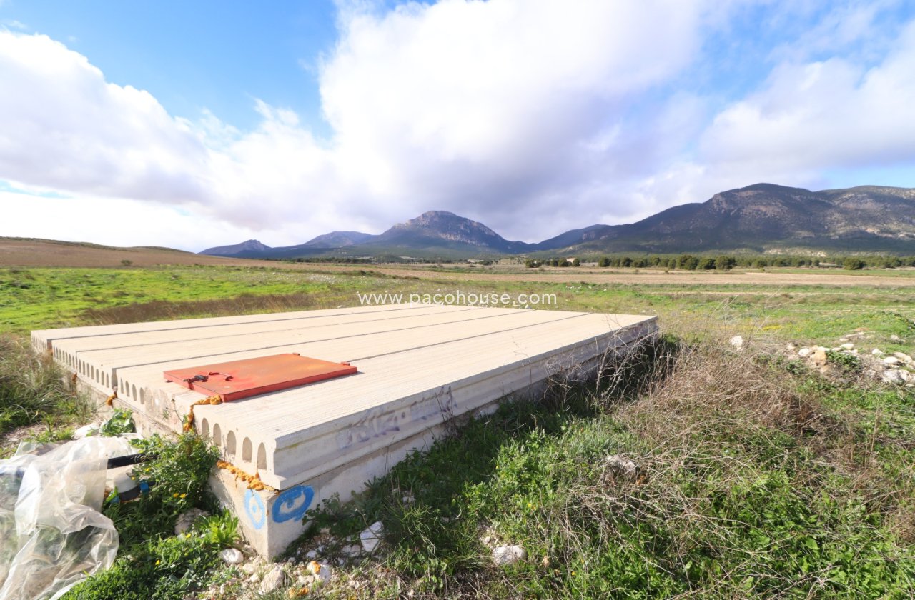 Resale - Country House -
La Parroquia