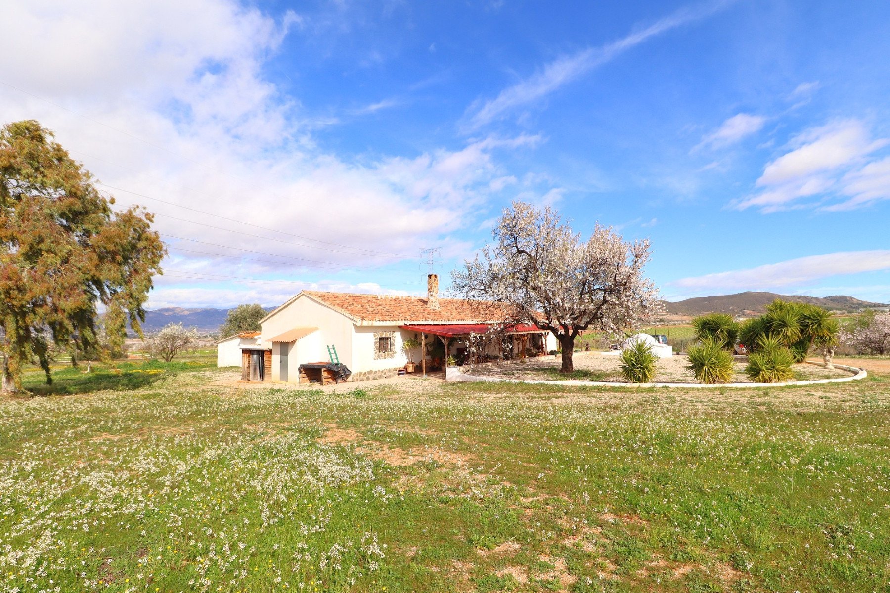 Resale - Country House -
Lorca