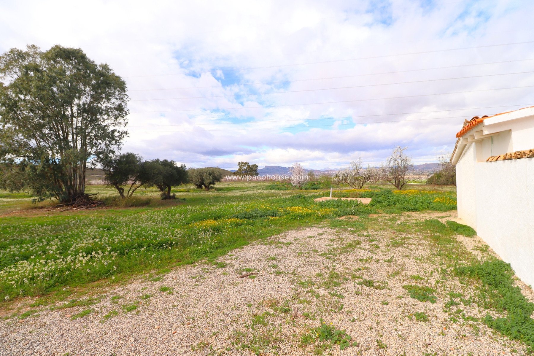 Resale - Country House -
Lorca