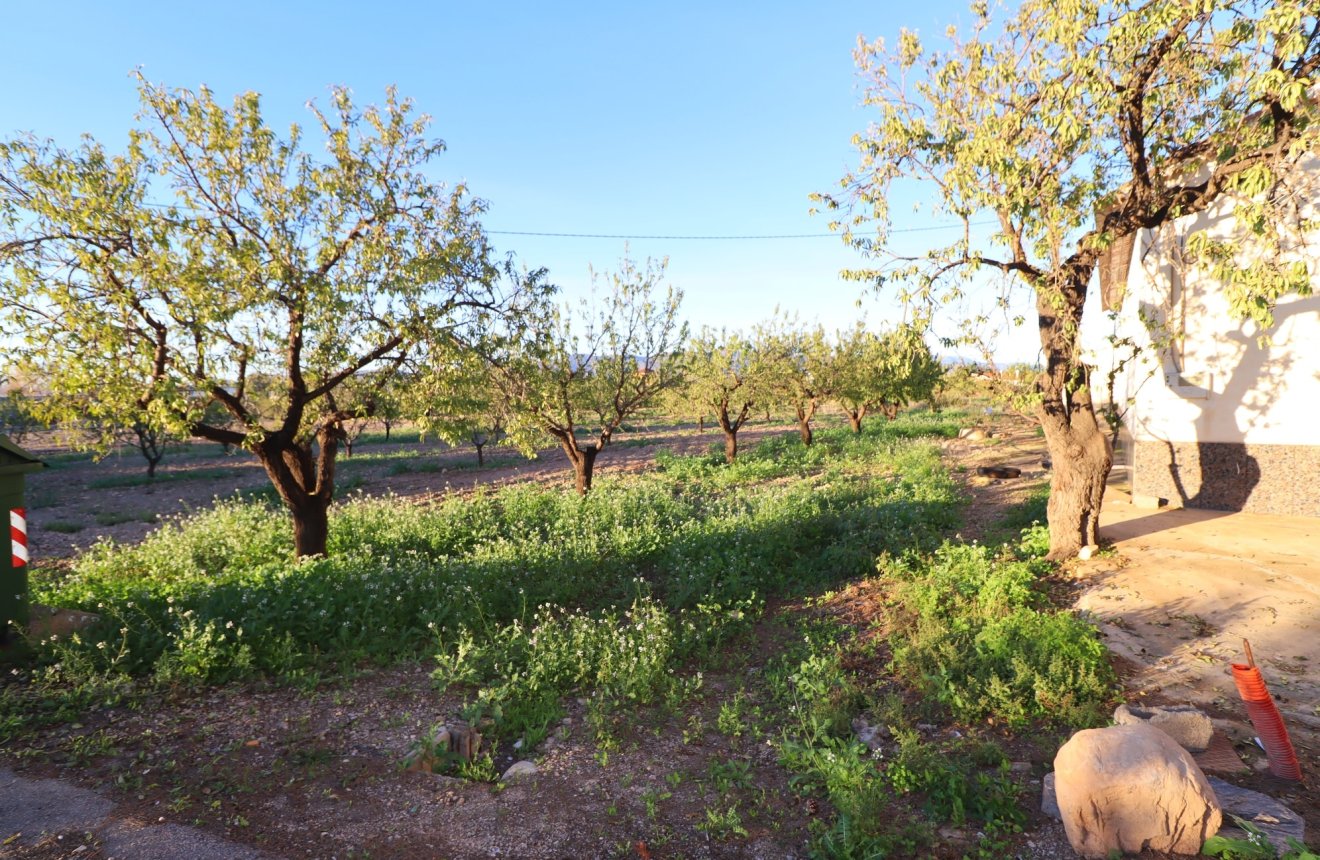 Resale - Country House -
Lorca