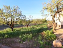 Resale - Country House -
Lorca
